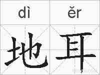 地耳的拼音