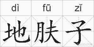 地肤子的拼音