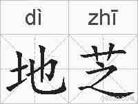 地芝的拼音
