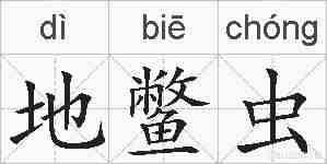 地鳖虫的拼音