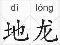 地龙的拼音