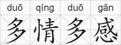 多情多感的拼音
