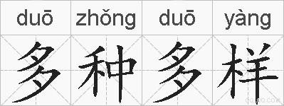 多种多样的拼音