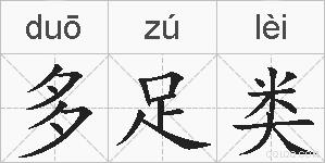 多足类的拼音