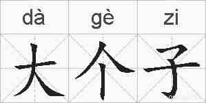 大个子的拼音