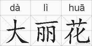 大丽花的拼音