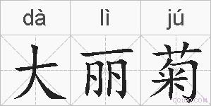 大丽菊的拼音