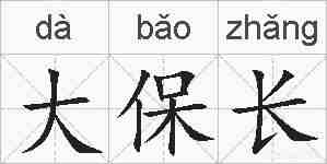 大保长的拼音