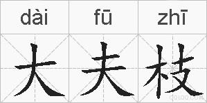 大夫枝的拼音