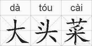 大头菜的拼音