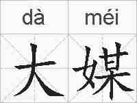 大媒的拼音