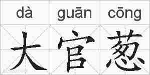 大官葱的拼音