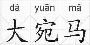 大宛马的拼音