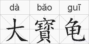大寳龟的拼音