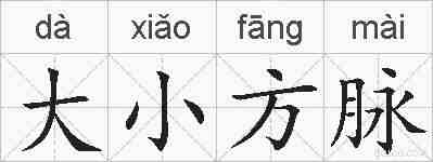 大小方脉的拼音