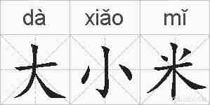 大小米的拼音