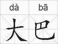 大巴的拼音