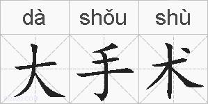 大手术的拼音