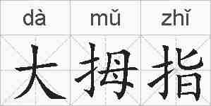 大拇指的拼音