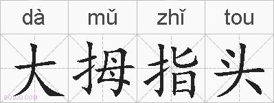 大拇指头的拼音