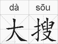 大搜的拼音