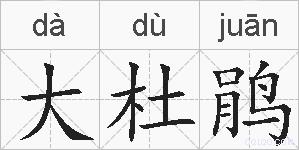 大杜鹃的拼音
