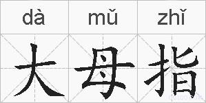 大母指的拼音