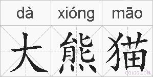 大熊猫的拼音