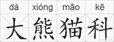 大熊猫科的拼音