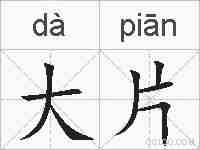 大片的拼音
