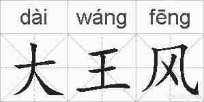 大王风的拼音