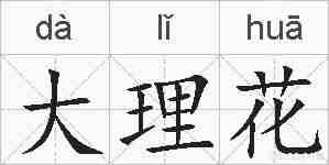 大理花的拼音