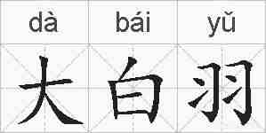 大白羽的拼音