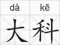 大科的拼音