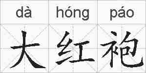 大红袍的拼音