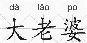 大老婆的拼音