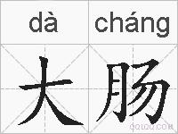 大肠的拼音