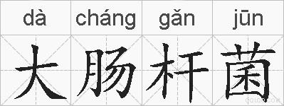 大肠杆菌的拼音
