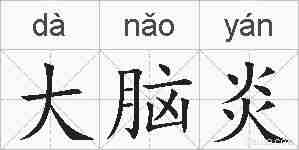 大脑炎的拼音