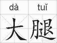 大腿的拼音