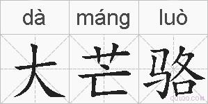 大芒骆的拼音