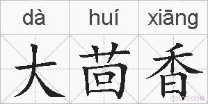 大茴香的拼音