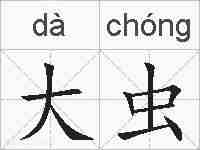 大虫的拼音
