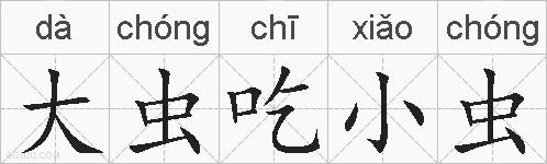 大虫吃小虫的拼音