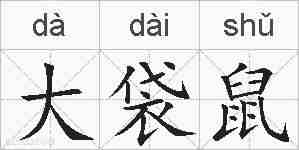 大袋鼠的拼音
