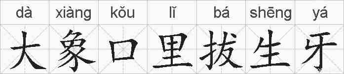大象口里拔生牙的拼音