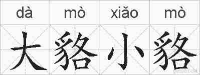 大貉小貉的拼音