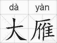 大雁的拼音