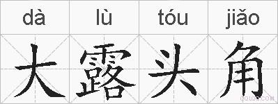 大露头角的拼音