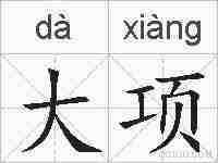 大项的拼音